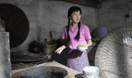 童与莲电影在线观看,穿越时光的纯真之旅